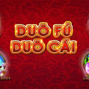 trại gà đá Chợ Lách Bến Tre
