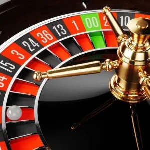 Đá gà ở Bình Đức: Giá cả và thông tin cần biết