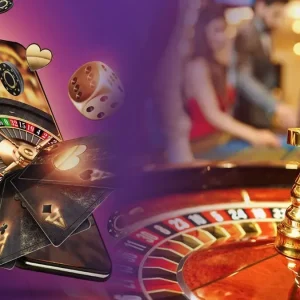 Cách nuôi gà nòi đá lực khỏe