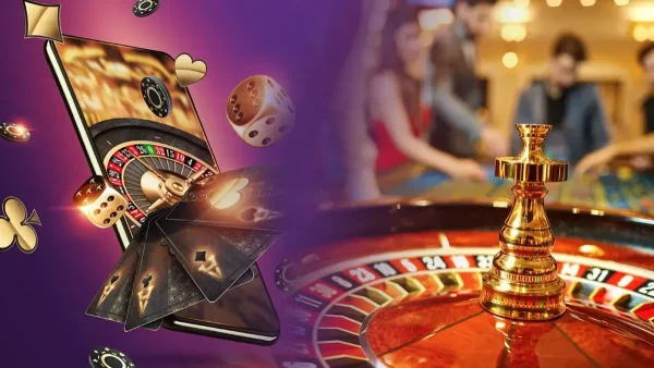 Cách nuôi gà nòi đá lực khỏe